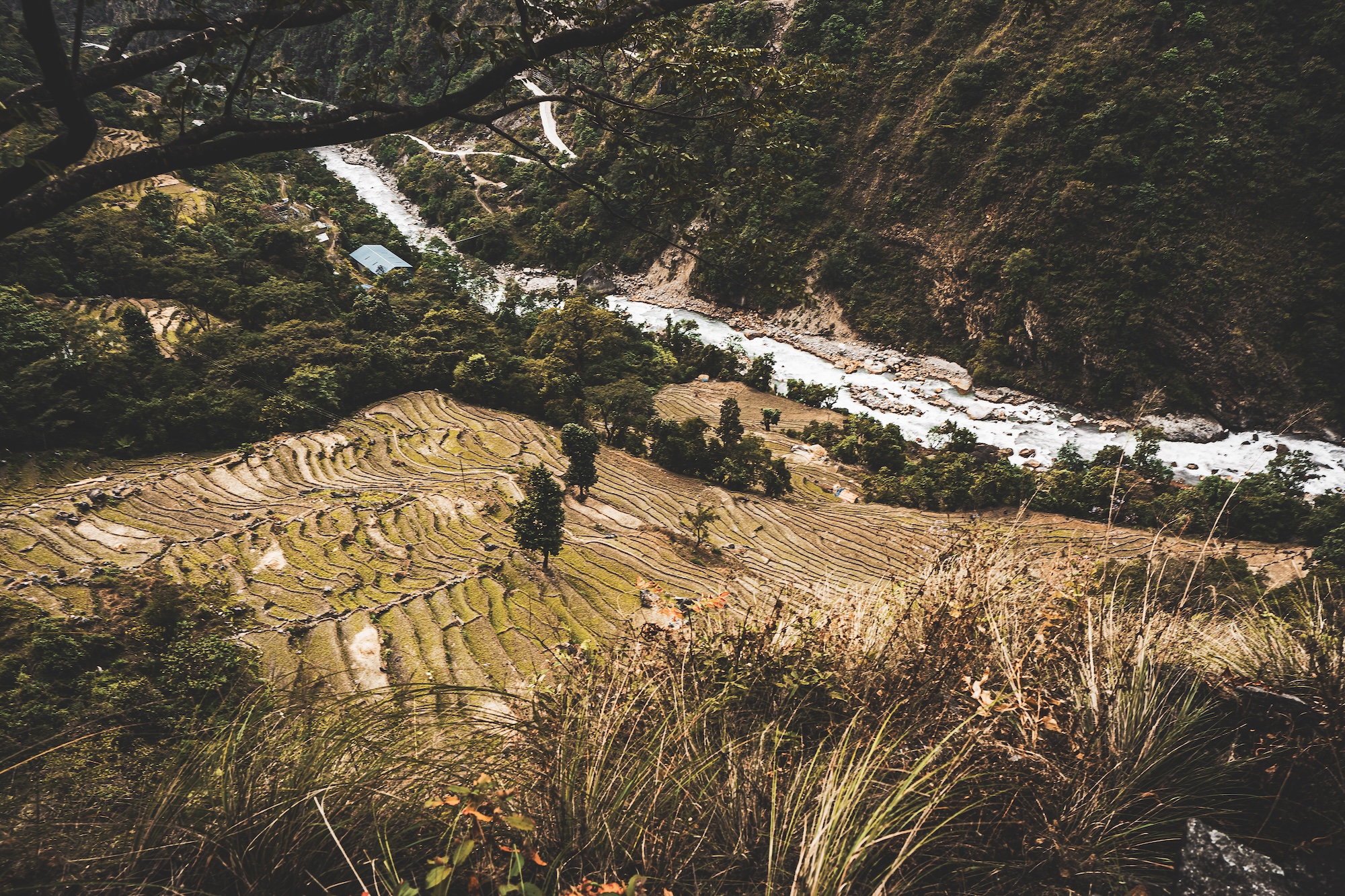 Many rice terraces along the way